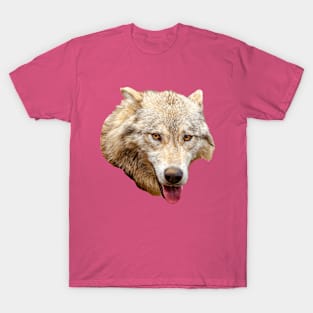 What beautiful Eyes You have! T-Shirt